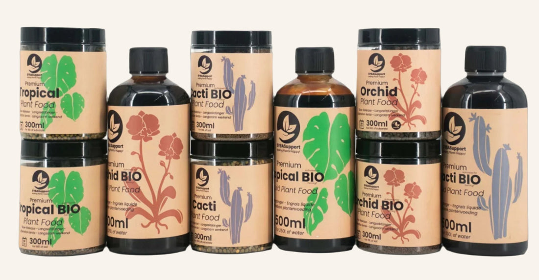 Plant Food FAQ: Everything You Need to Know for Happy Plants