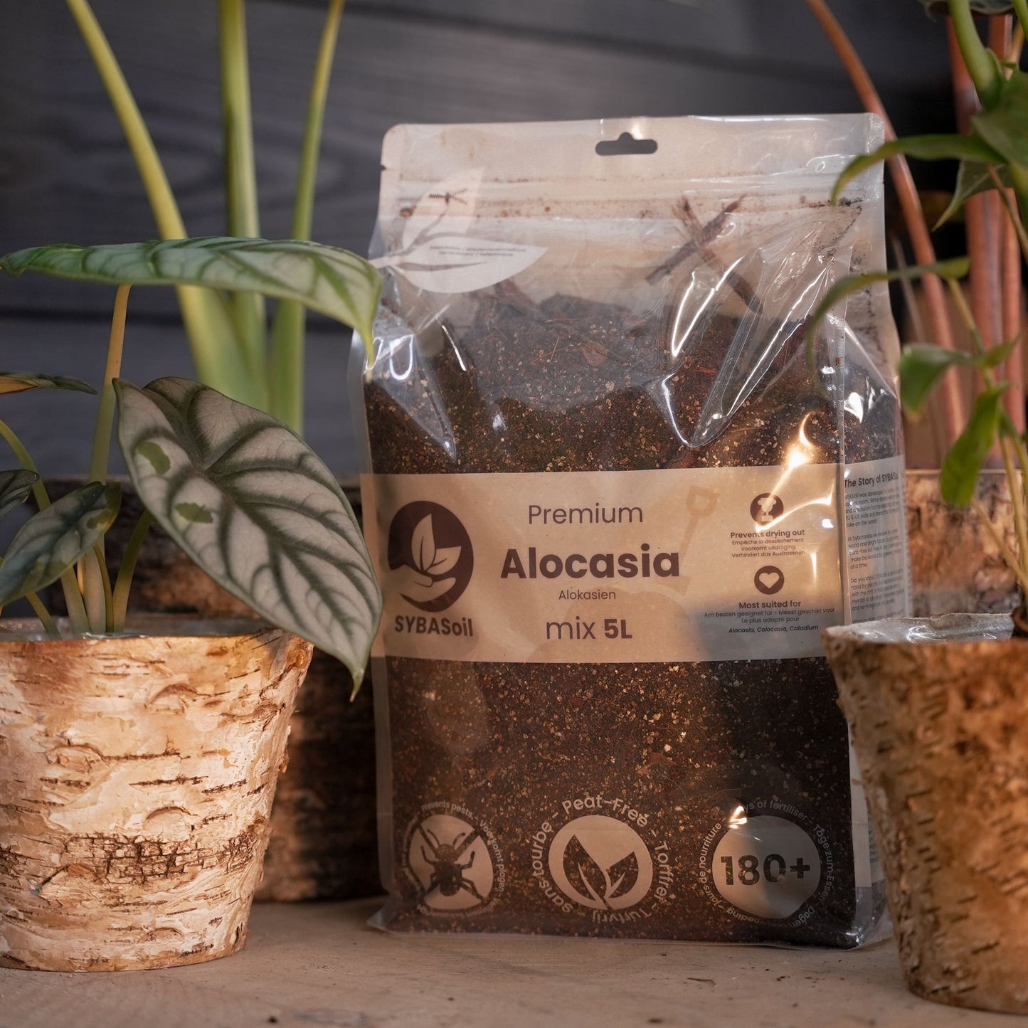 Super pacote DIY para misturas de selva tropical