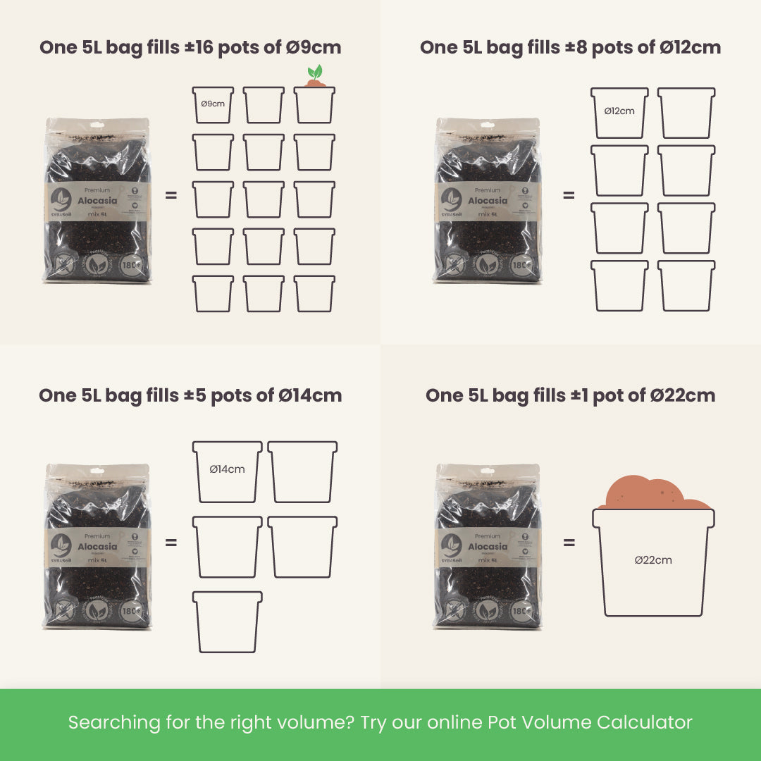 Substrato para Alocasia