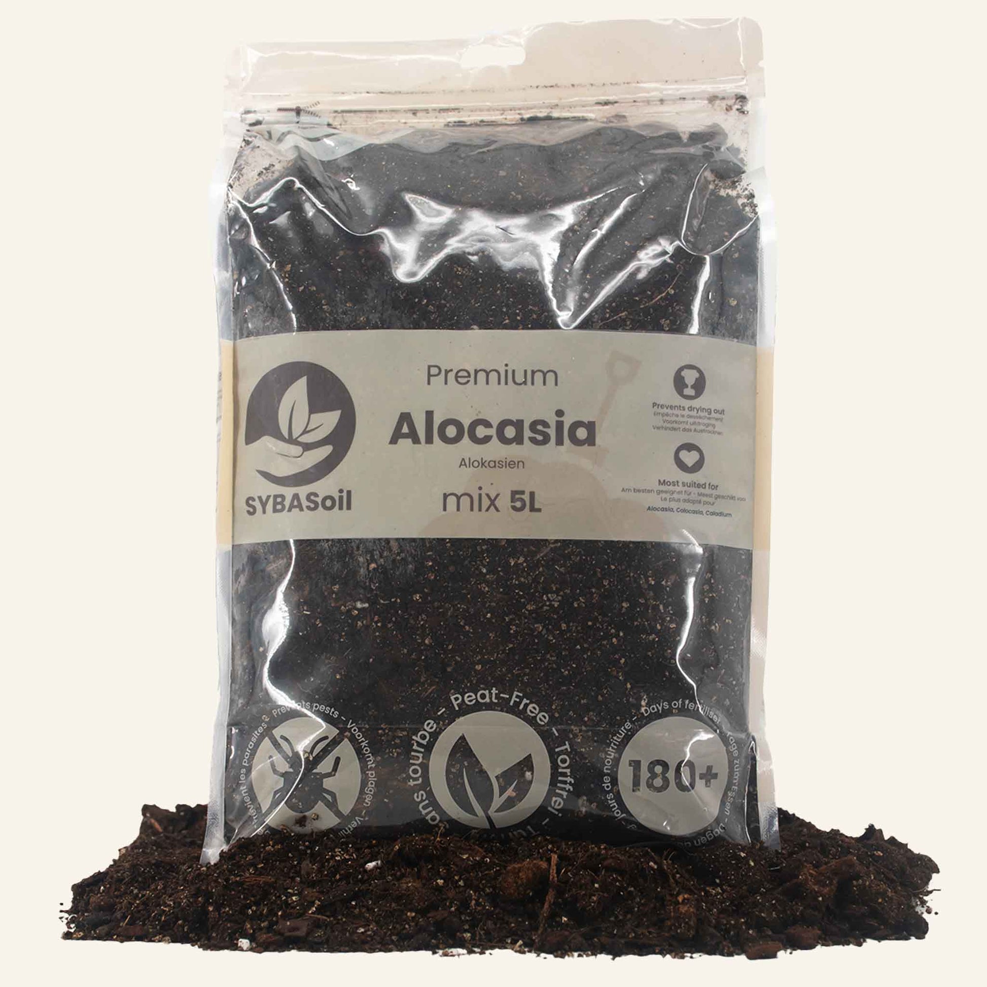 Alocasia Soil