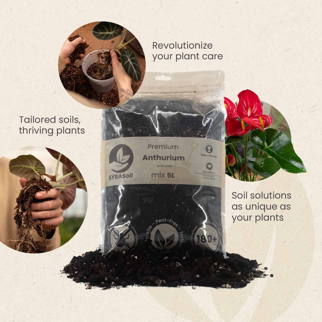 Substrato para Anthurium