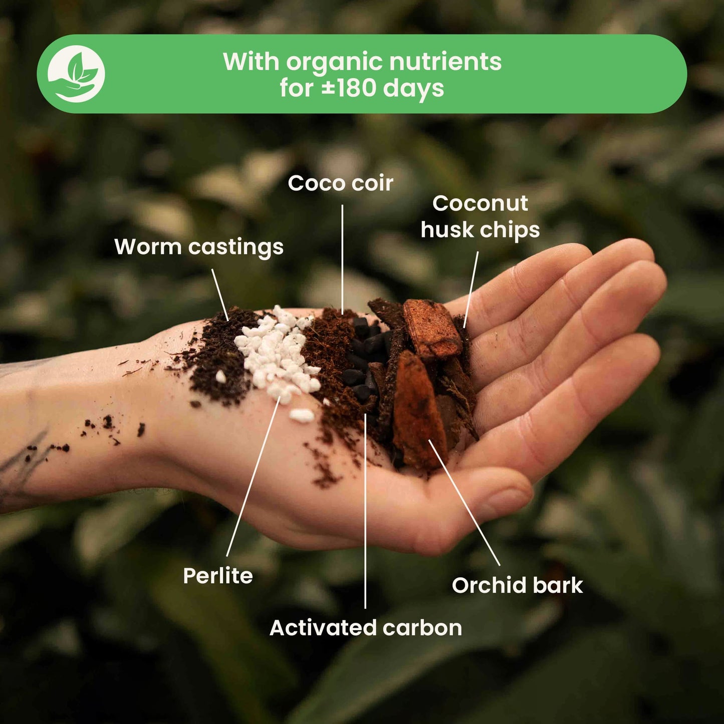 Substrato para Anthurium