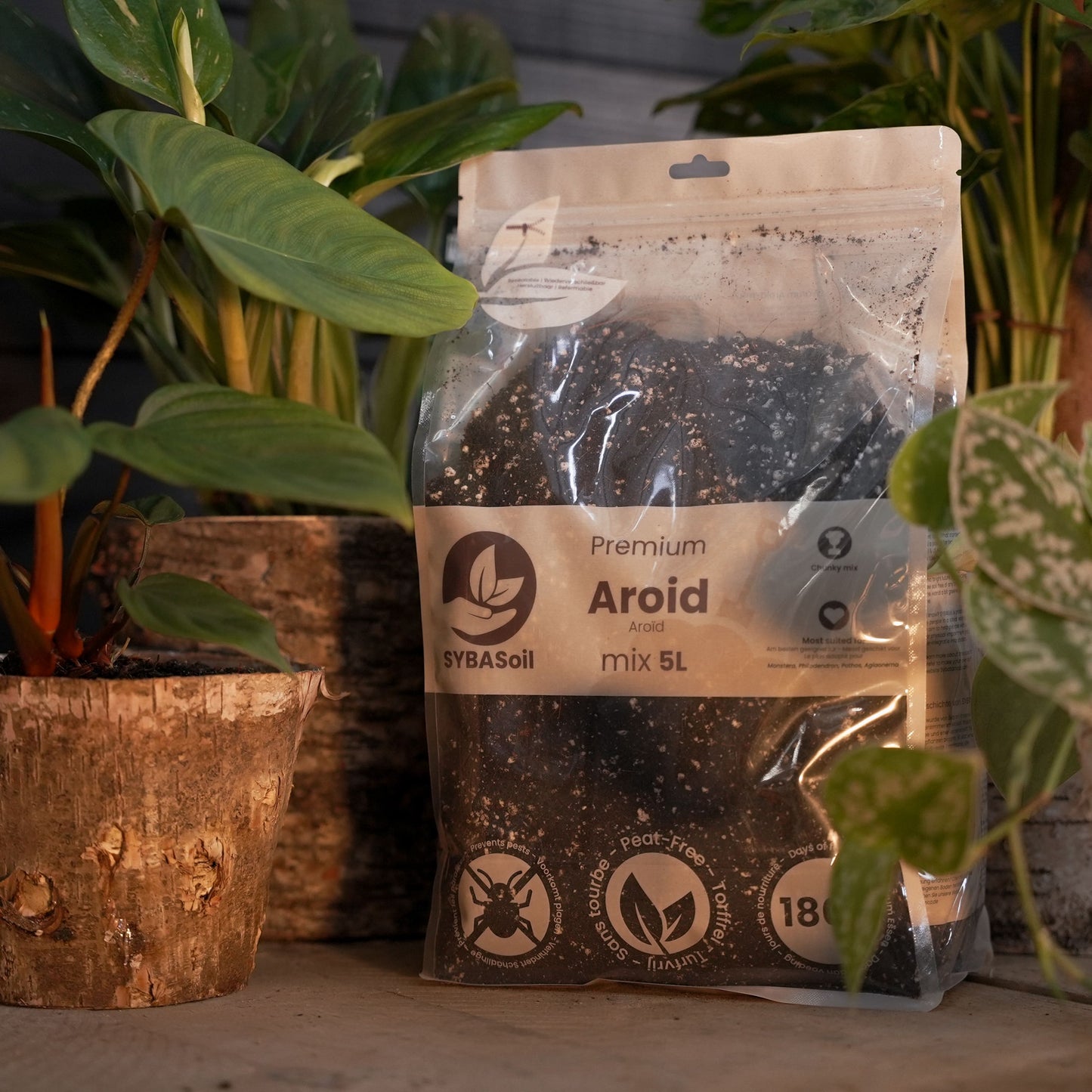 Substrato para Aroid