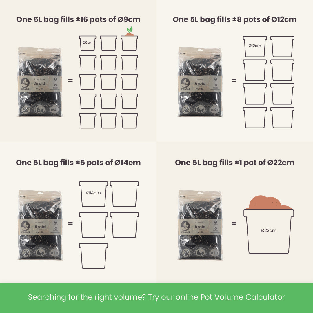 Substrato para Aroid