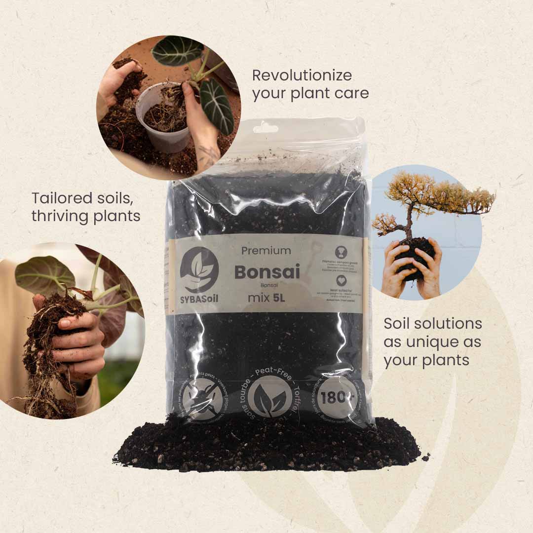 Bonsai Mix