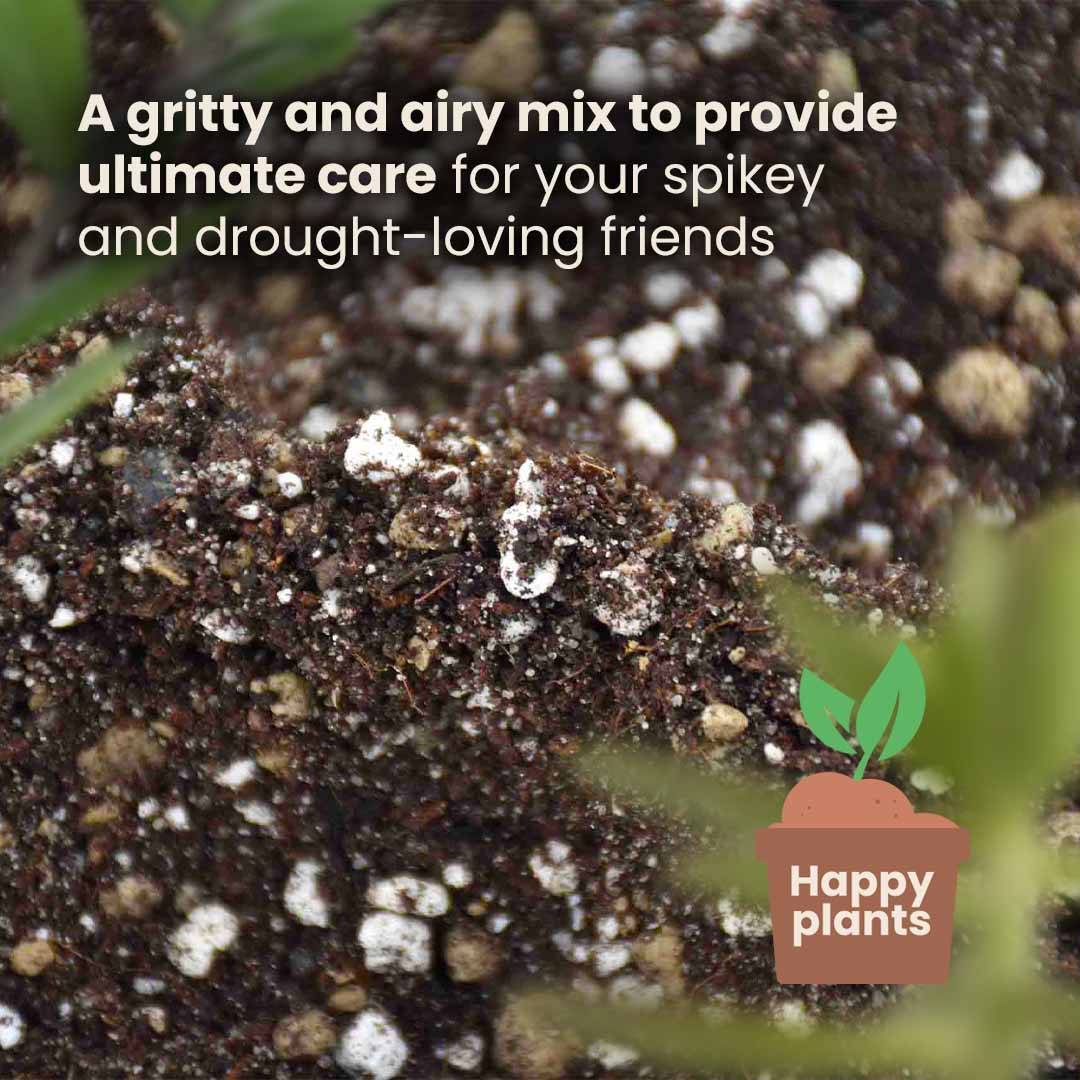 Substrato para Cactos & Suculentas