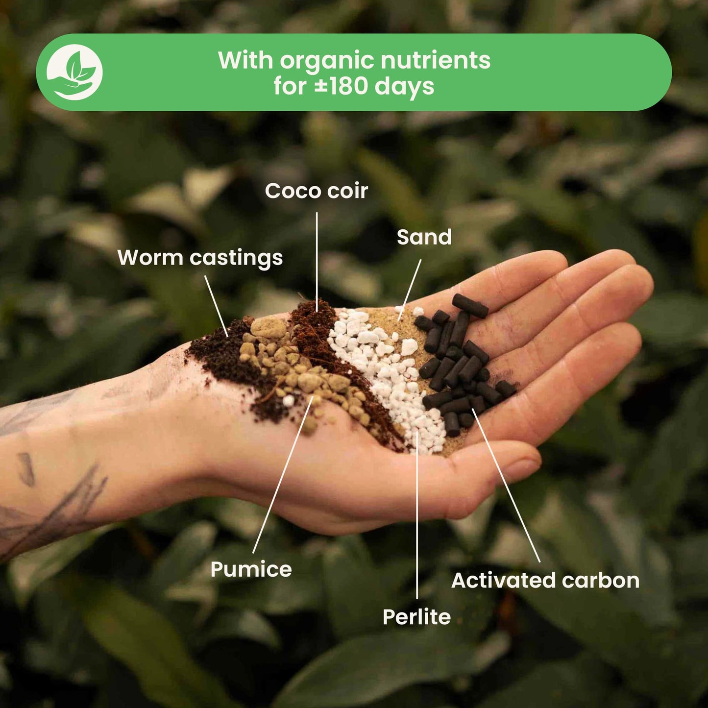 Substrato para Cactos & Suculentas