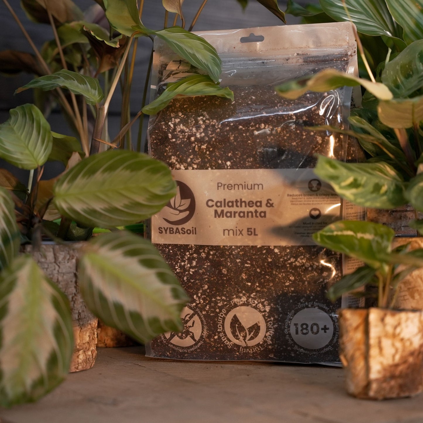 Super pacote DIY para misturas de selva tropical