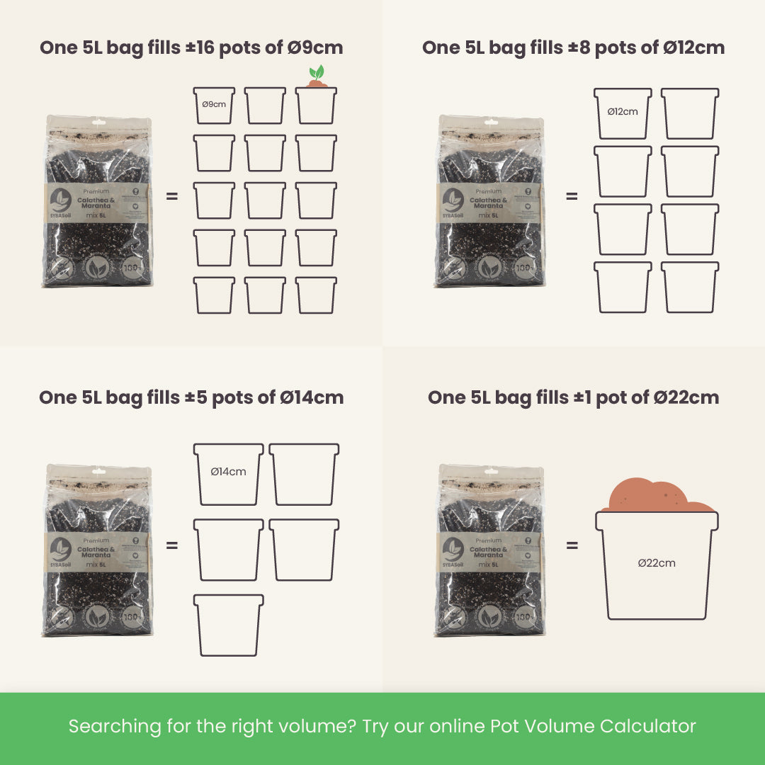 Substrato para Calathea & Maranta