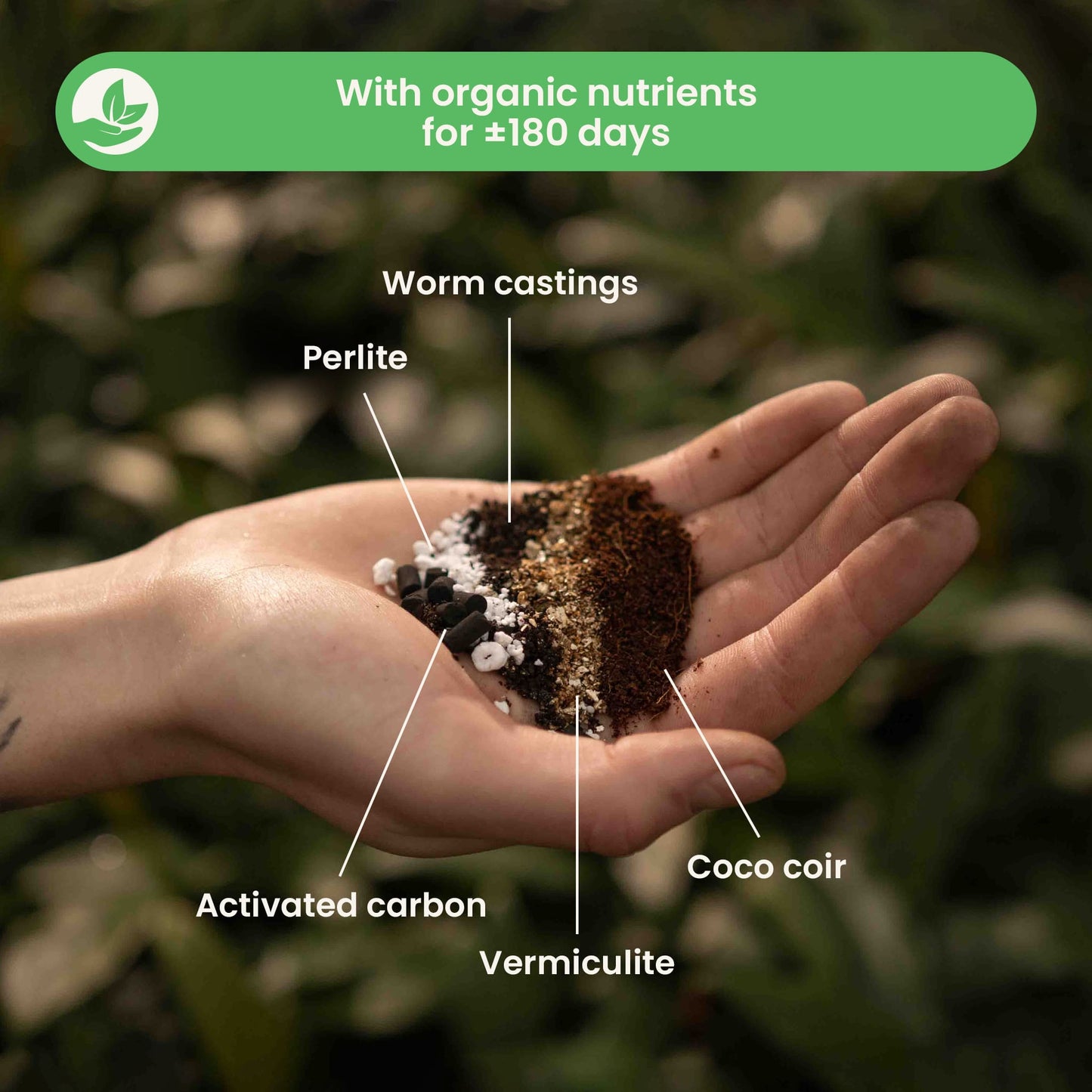 Substrato para Calathea & Maranta