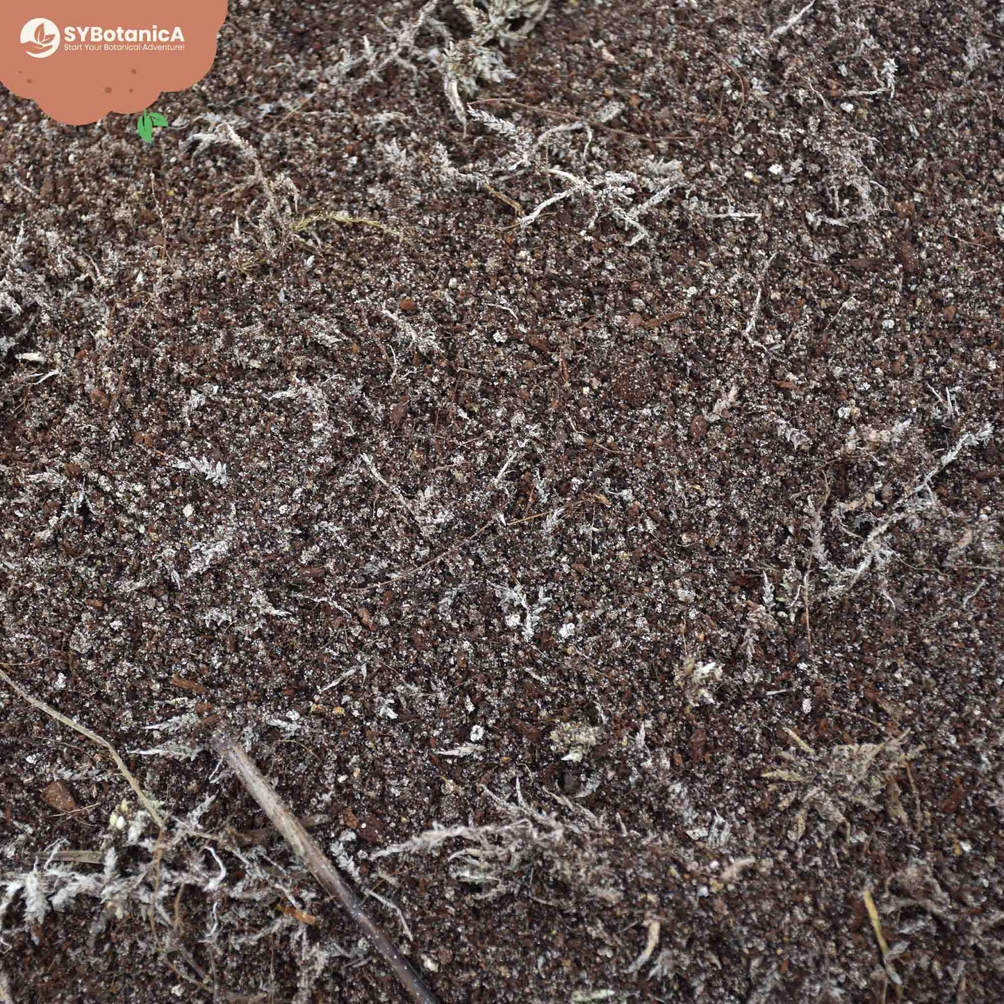 Substrato para Plantas carnívoras