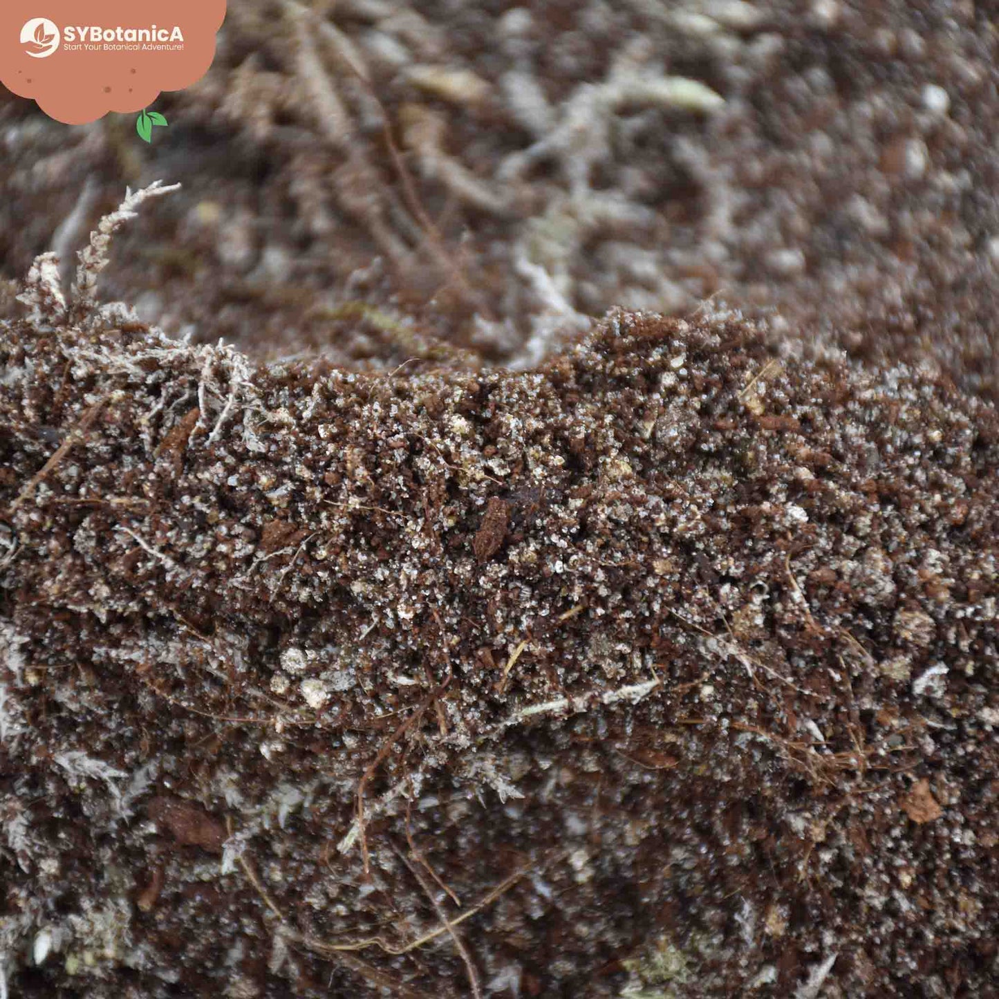 Substrato para Plantas carnívoras