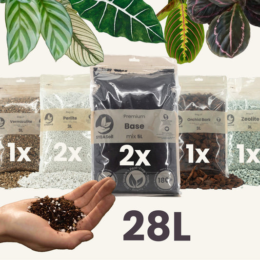Mix fai da te per piante tropicali