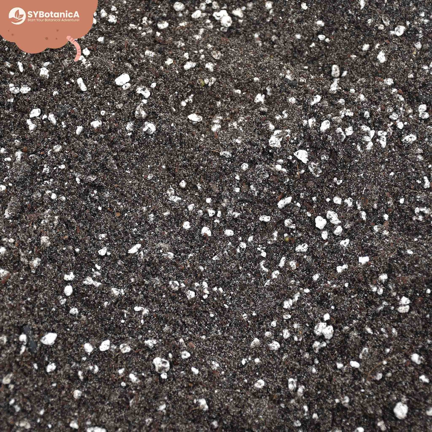 Substrato para Fetos