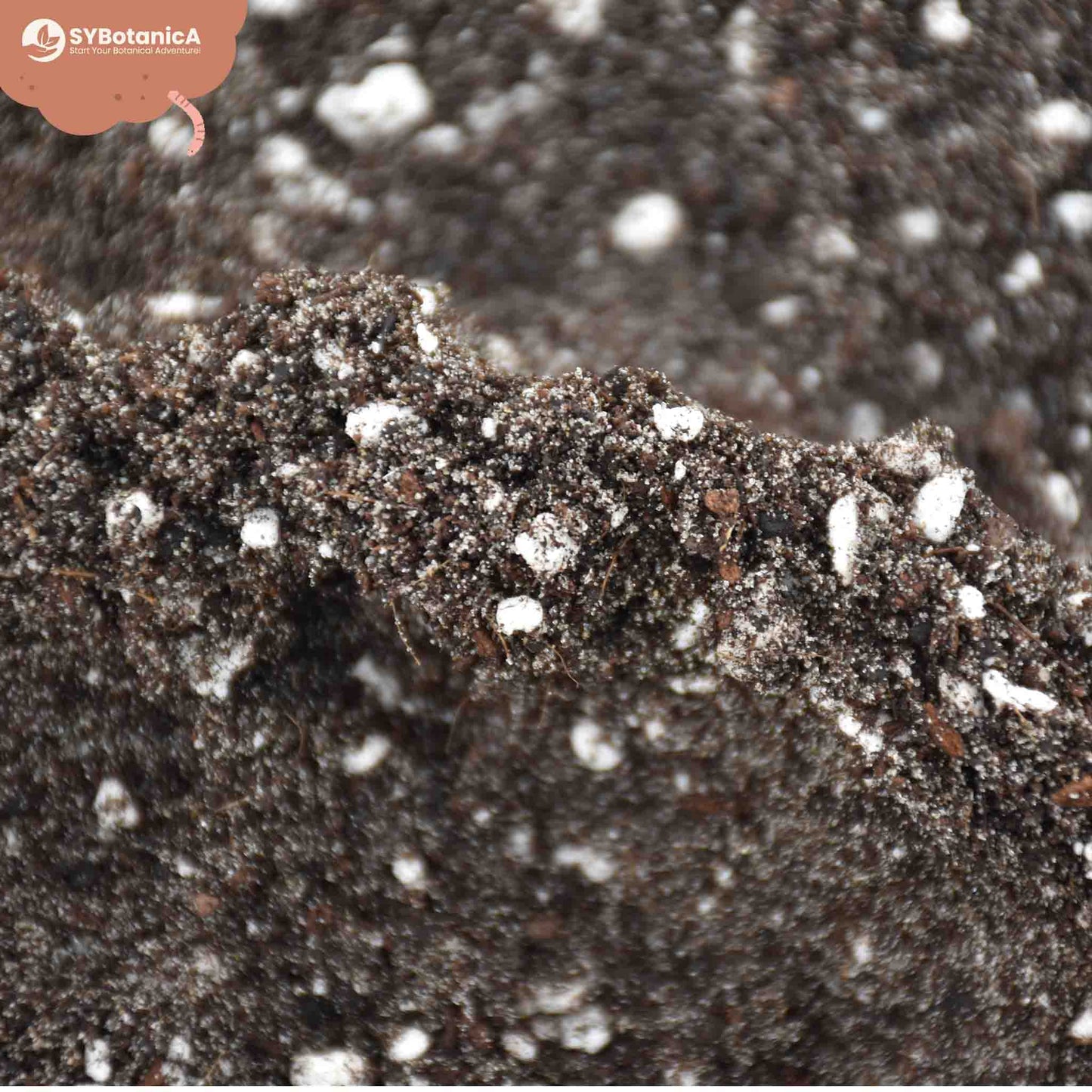 Substrato para Fetos