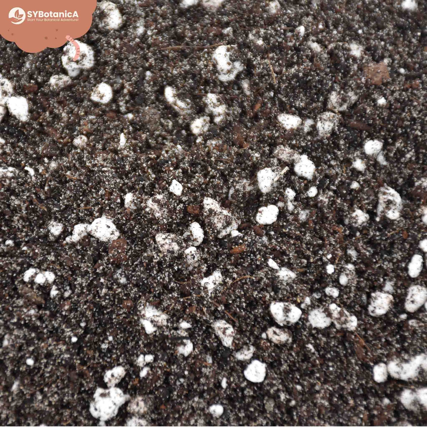 Substrato para Fetos