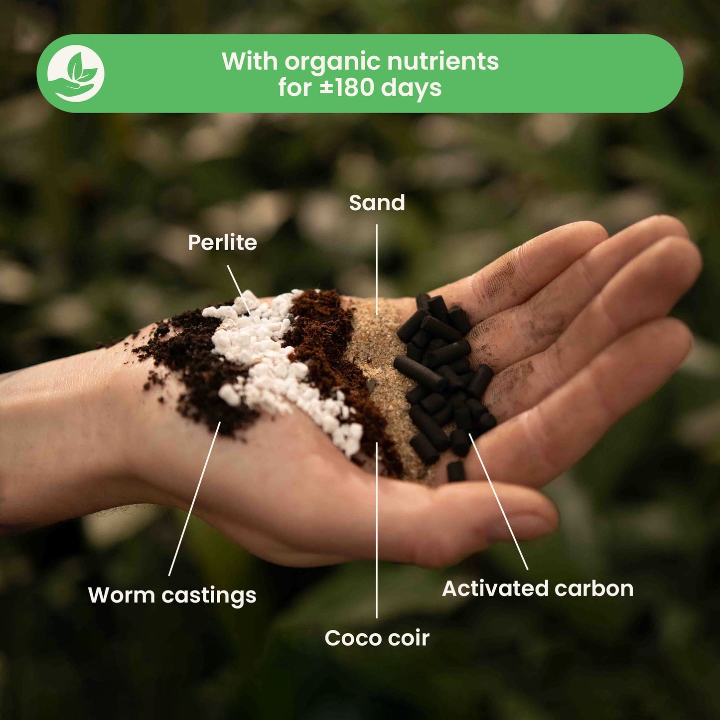 Substrato para Fetos