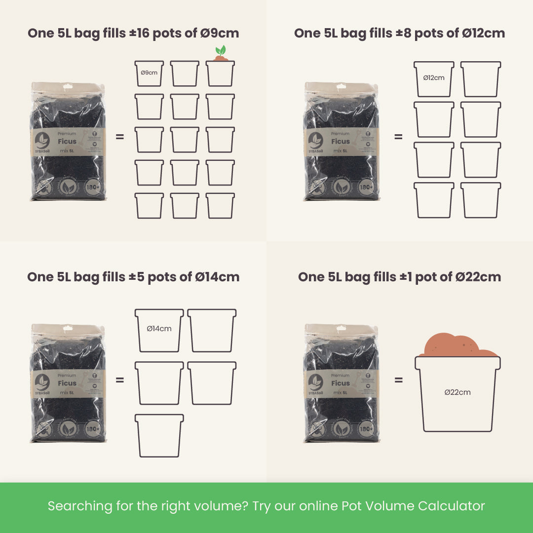 Substrato para Ficus