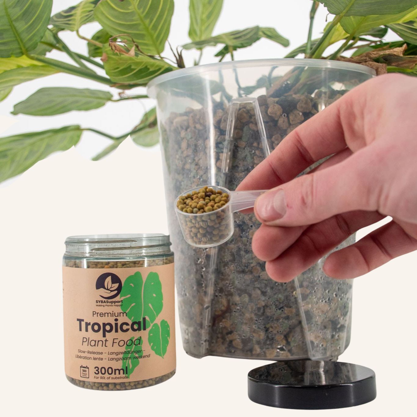 Fertilizante de Liberação Lenta para Orquídeas