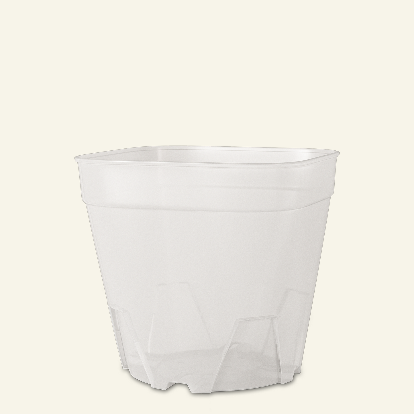 Vaso transparente para cactos e plantas suculentas