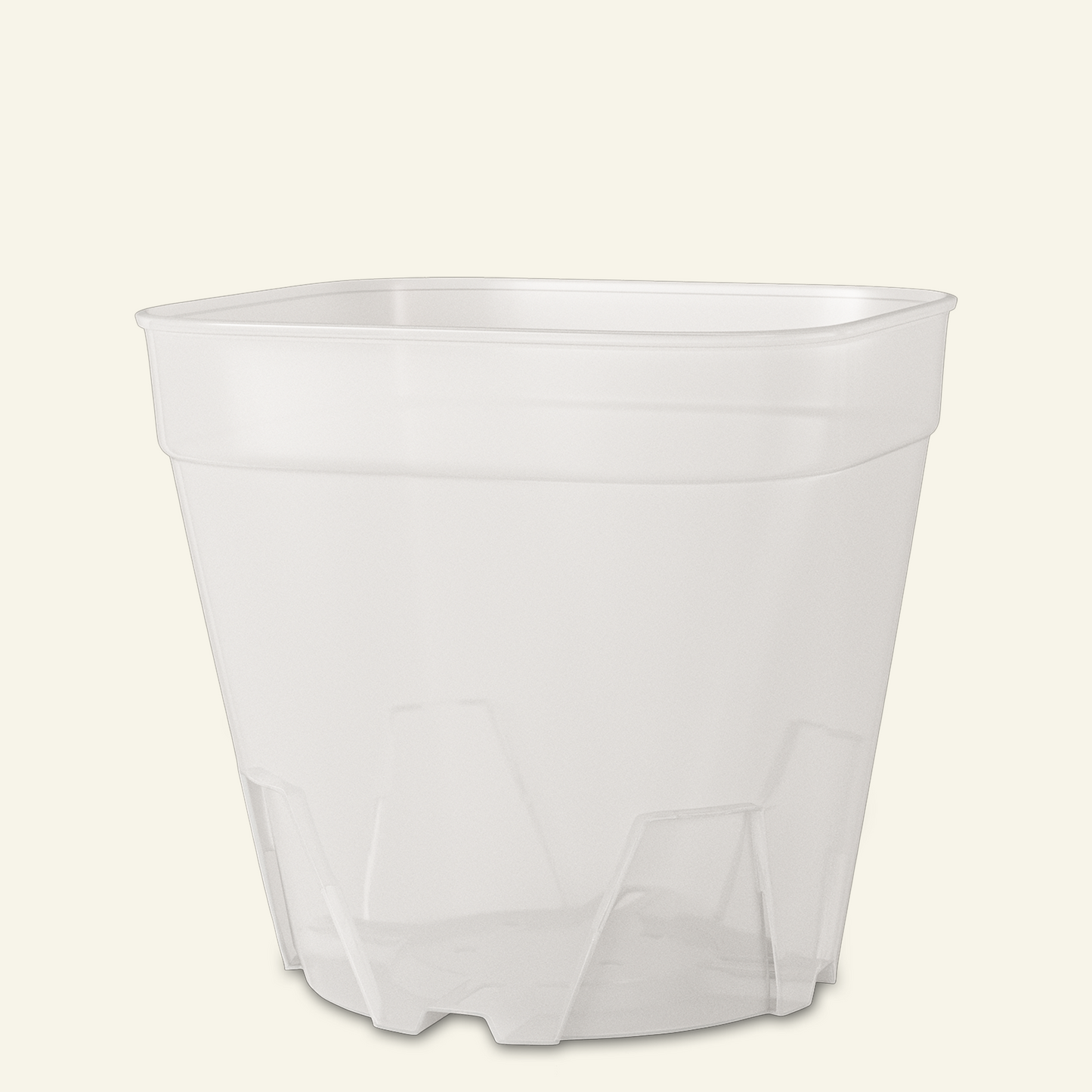 Vaso transparente para cactos e plantas suculentas
