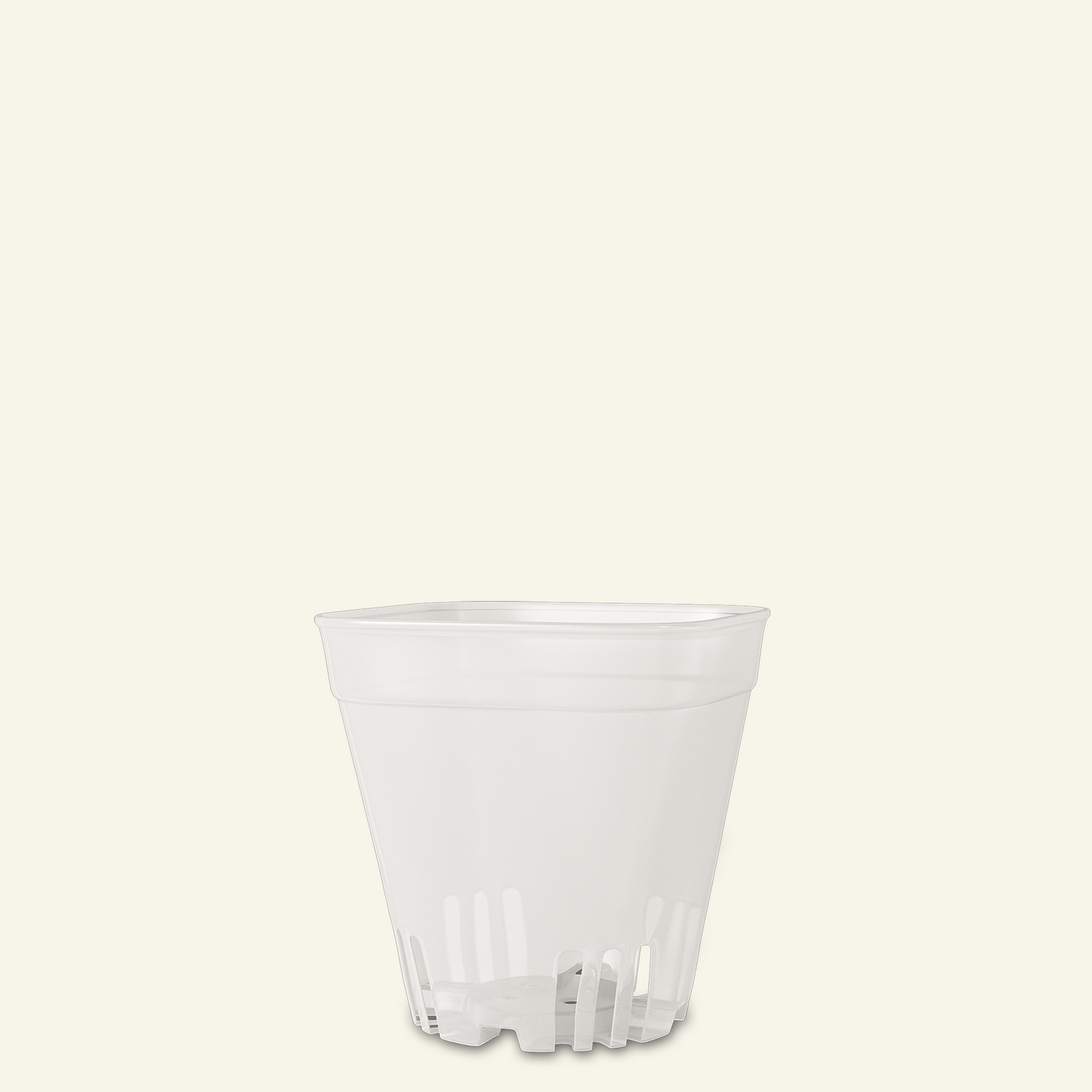 Vaso transparente para cactos e plantas suculentas