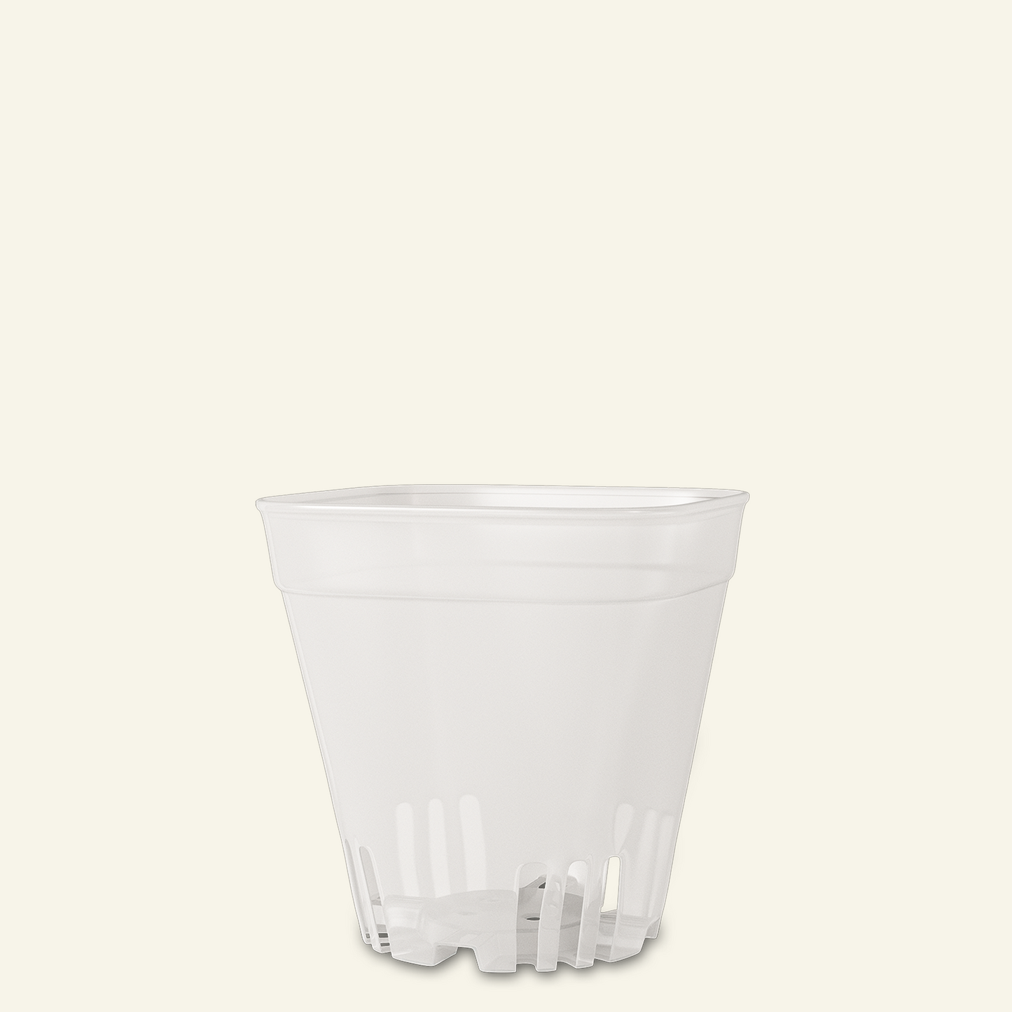 Vaso transparente para cactos e plantas suculentas