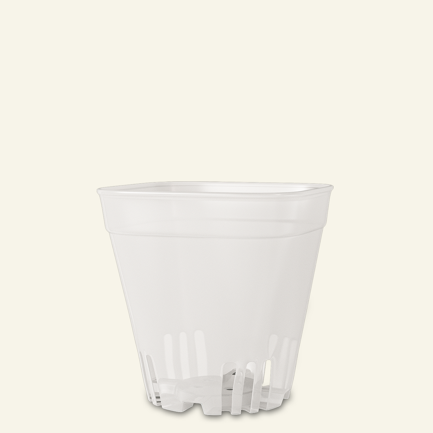 Vaso transparente para cactos e plantas suculentas