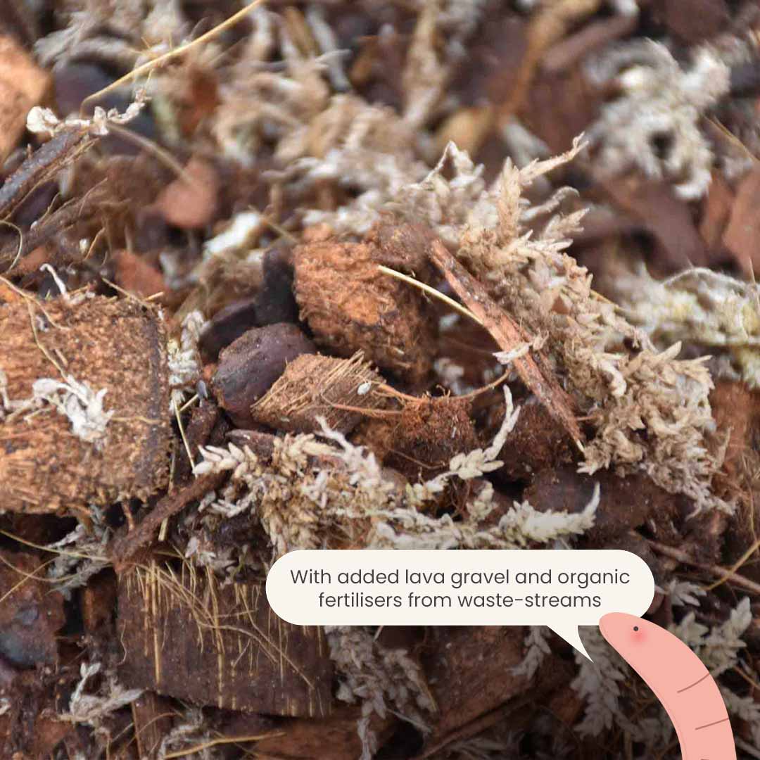 Substrato para Orquídeas