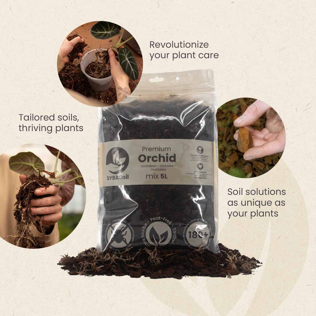 Substrato para Orquídeas