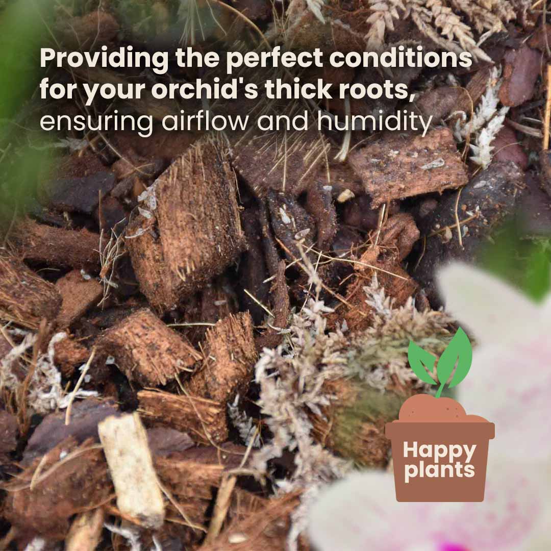 Substrato para Orquídeas