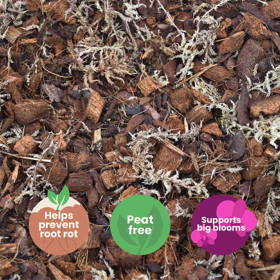 Substrato para Orquídeas