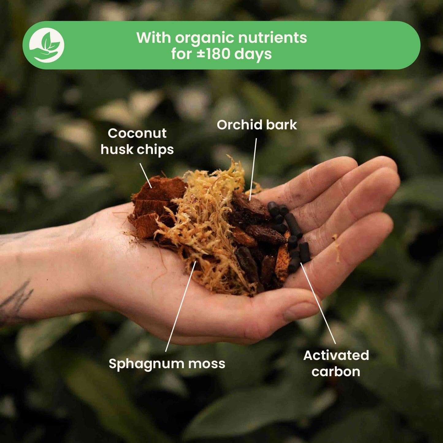 Substrato para Orquídeas