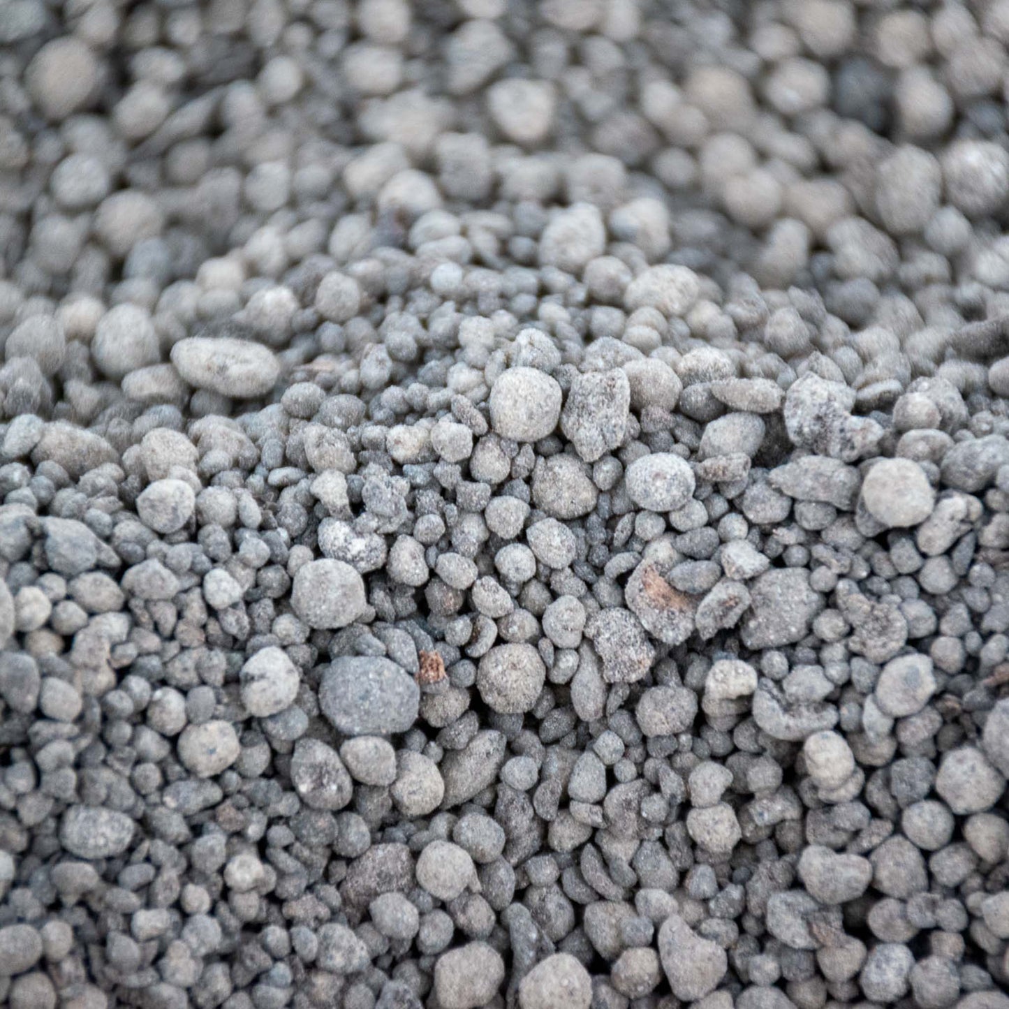 Fertilizante de Liberação Lenta para Orquídeas