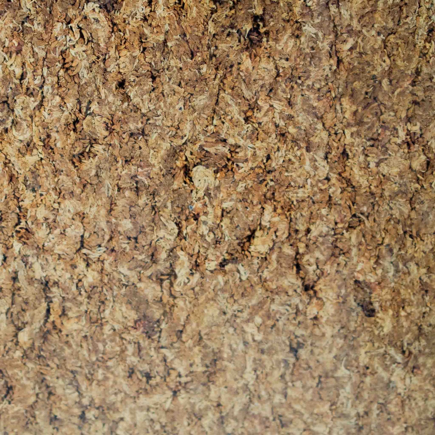 Pressed Sphagnum Moss (Argentinian)