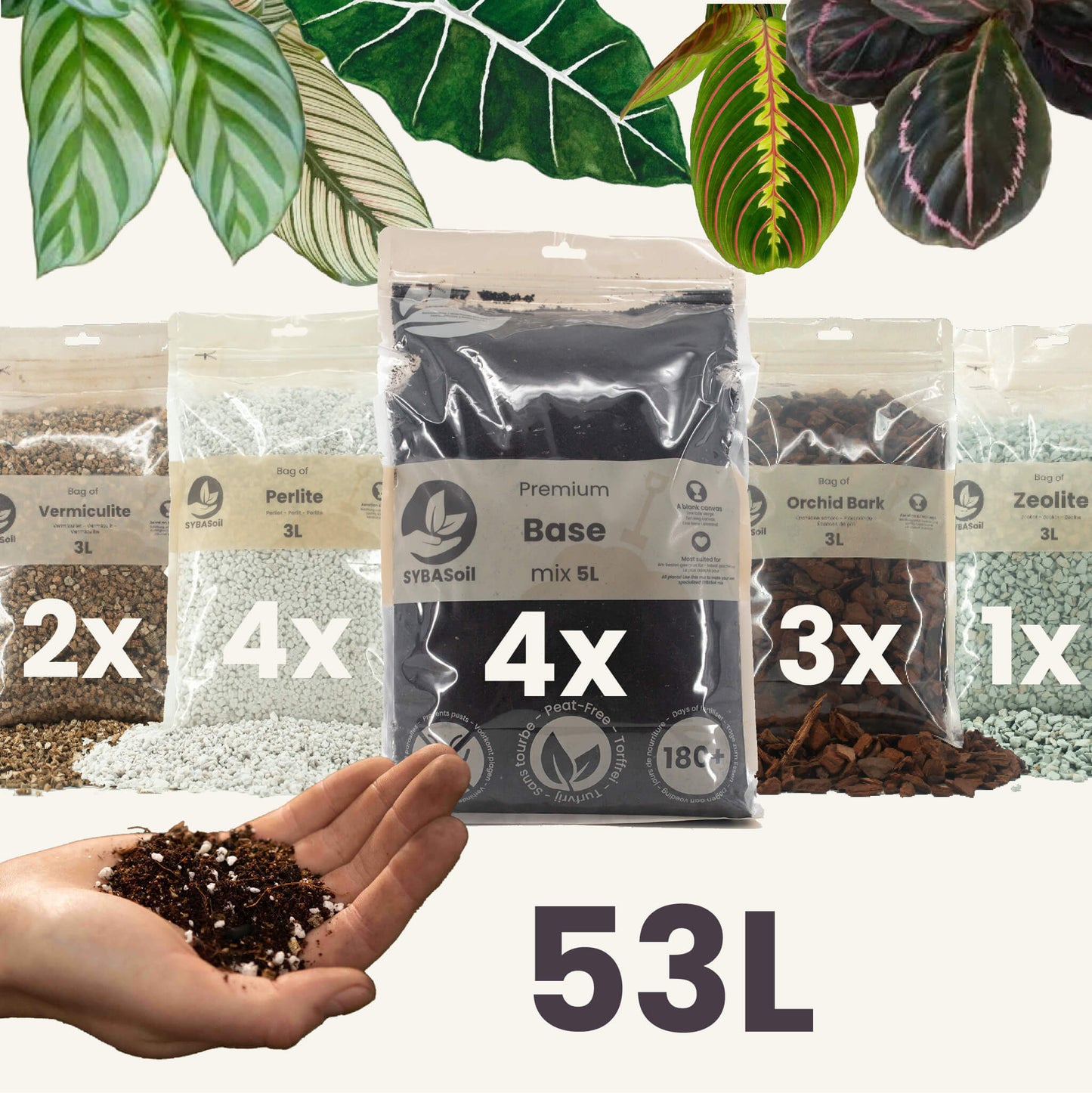 Super pacote DIY para misturas de selva tropical