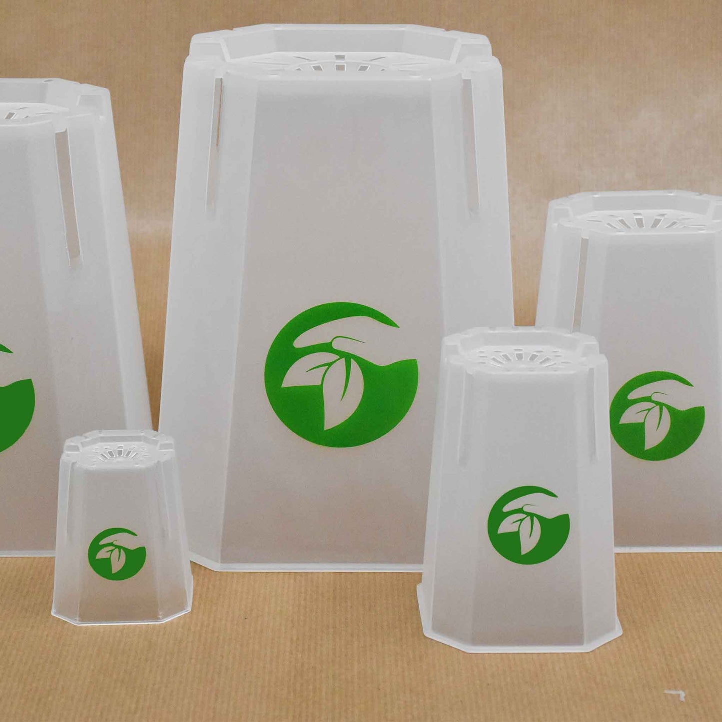 Square Clear Plant Pots