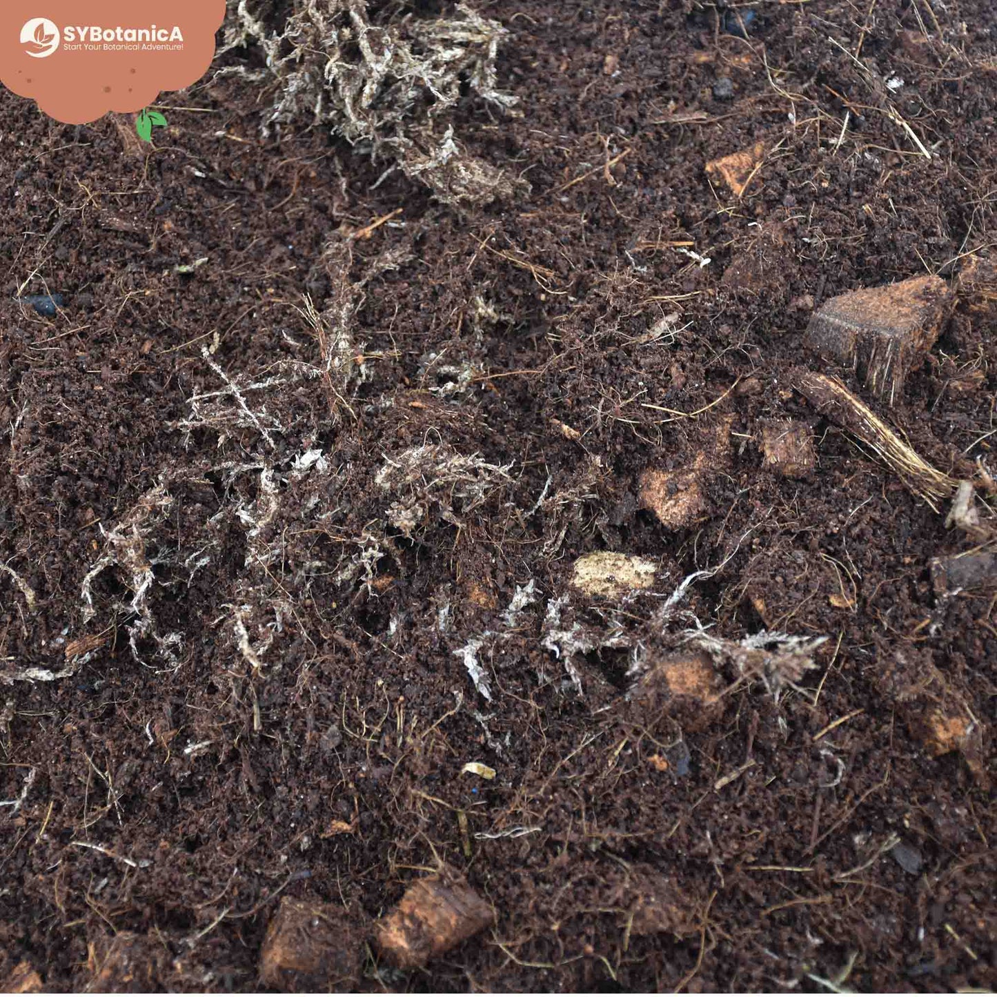 Substrato para Terrário