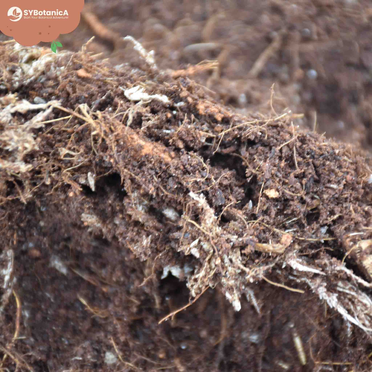 Substrato para Terrário