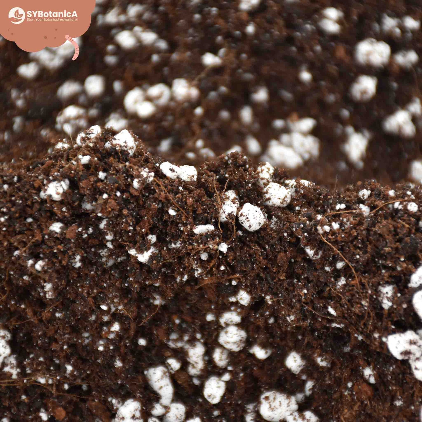 Substrato para Universal