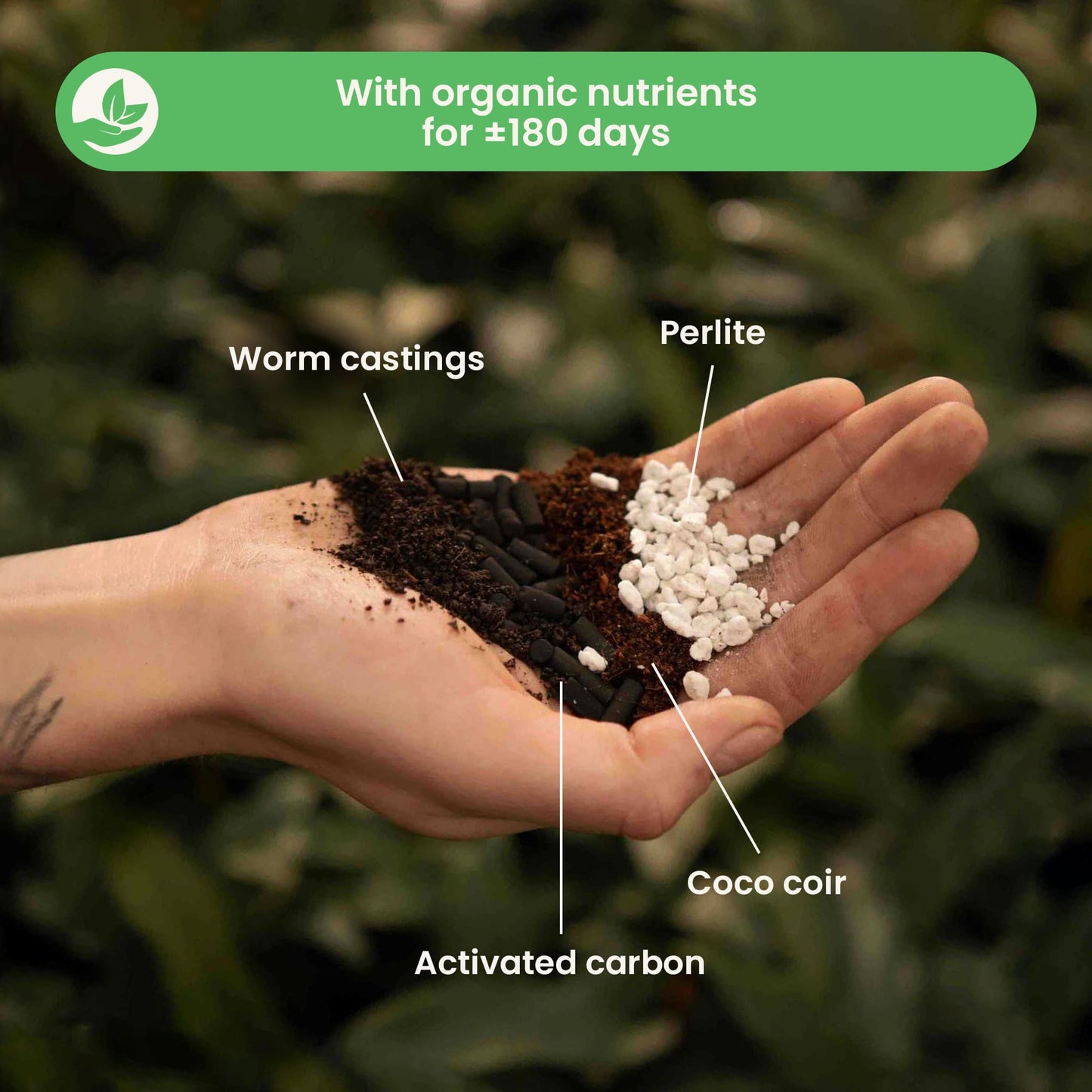 Substrato para Universal