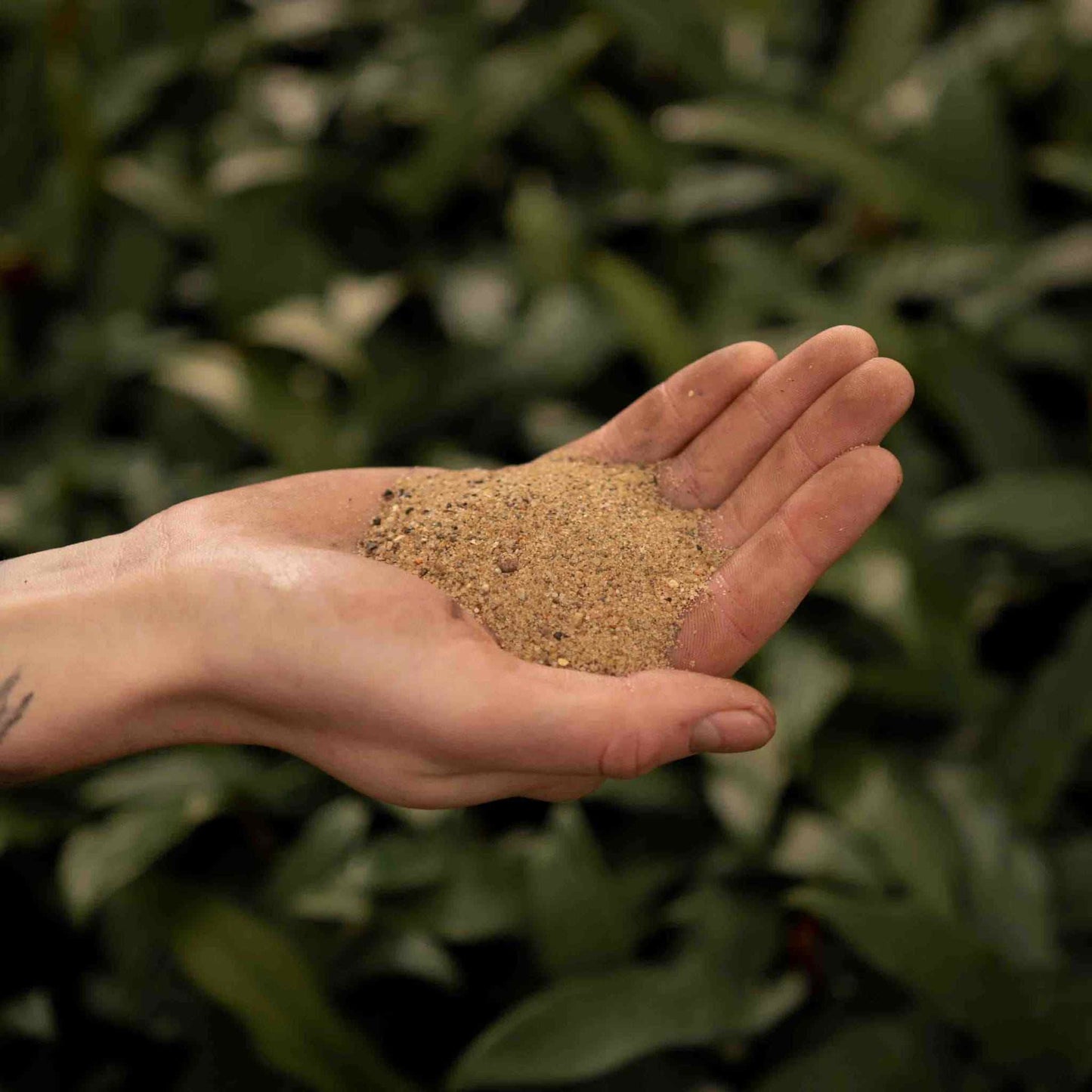 Areia para jardinagem
