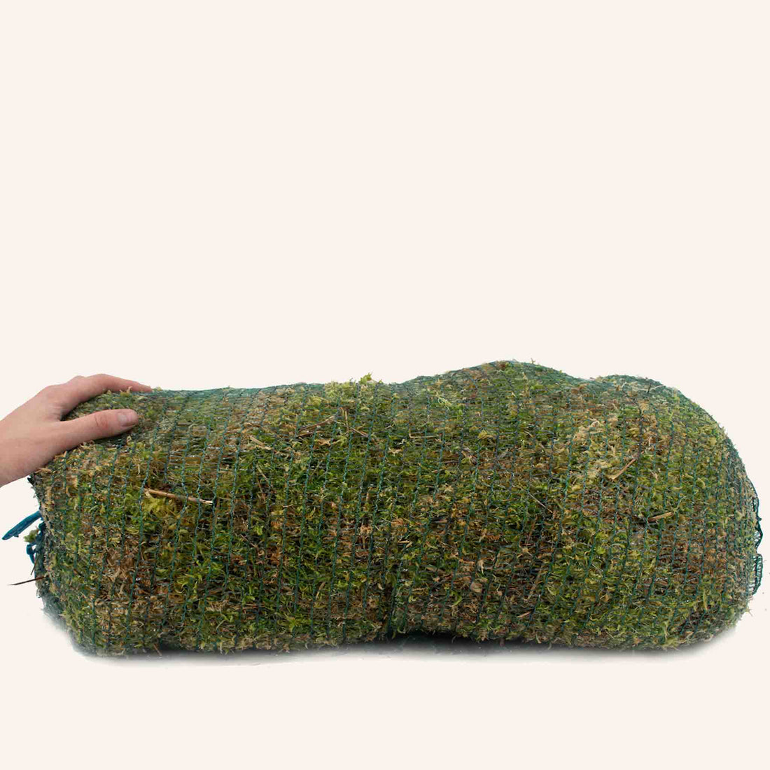 Finding and Sustainably Harvesting Sphagnum Moss in the Wild: A Manual