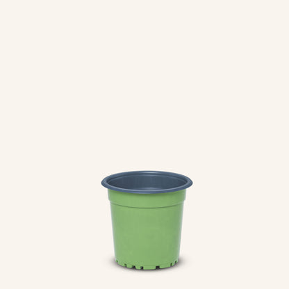 Vaso de viveiro verde