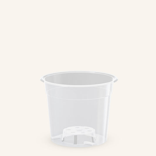 Vasos transparentes para orquídeas