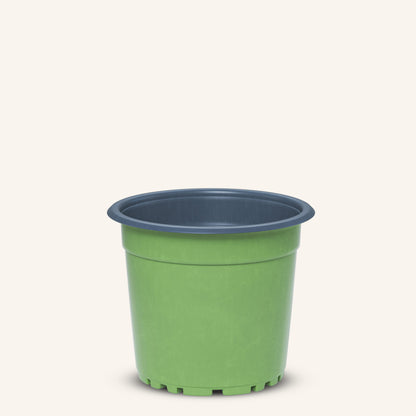 Vaso de viveiro verde