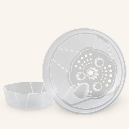 Clear Self-Watering Plant Pots