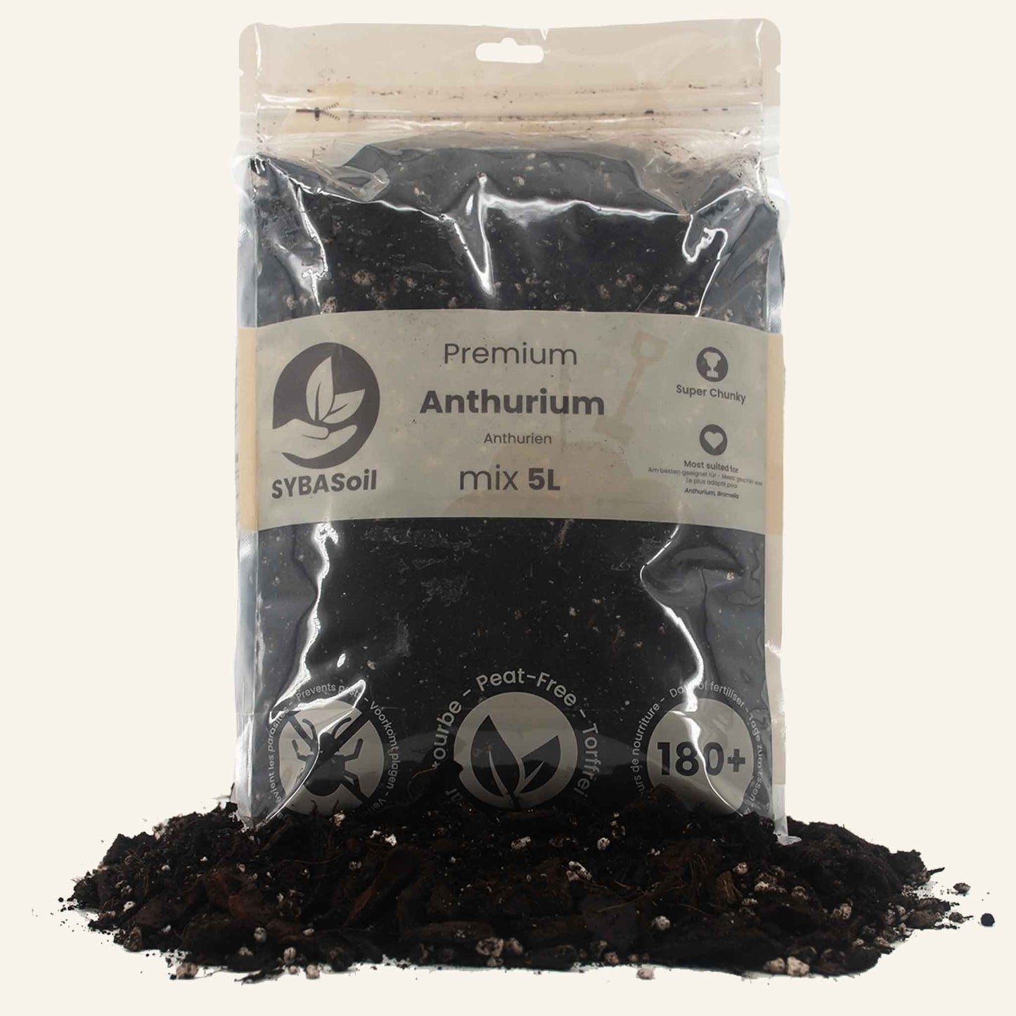 Anthurium Mix 5L