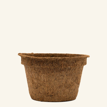 Vasos de coco