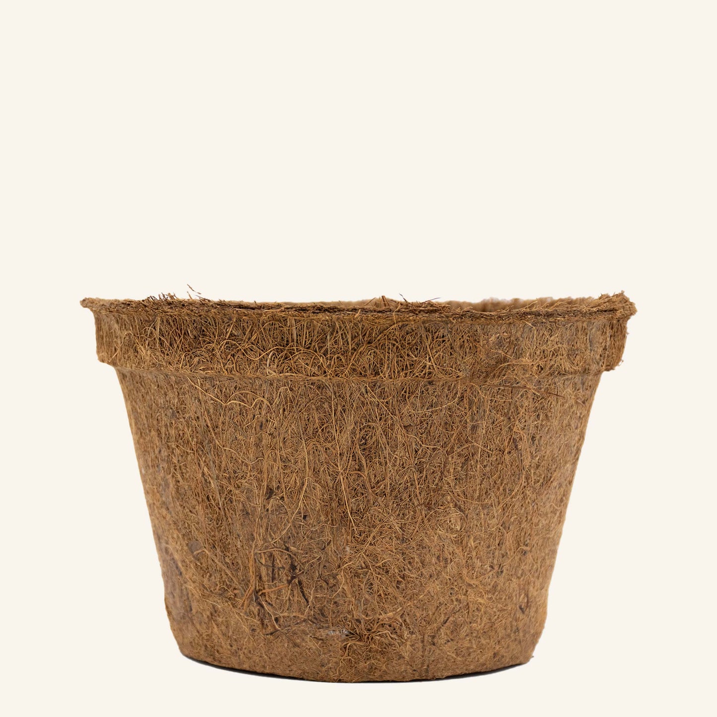 Vasos de coco